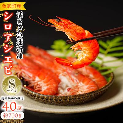 ふるさと納税 金武町 【養殖場から直送】活き〆急速冷凍 金武町産 シロアシエビ　Sサイズ (バナメイエビ)