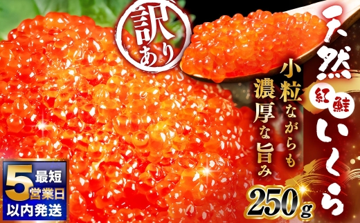 【決済より5営業日程度で発送】 紅鮭いくら醤油漬け 250g いくら イクラ 訳あり 規格外 小分け 個包装 冷凍 海鮮 海鮮丼 いくら丼 イクラ丼 醤油いくら 訳アリ 人気 年末年始 パック 北海道 釧路市