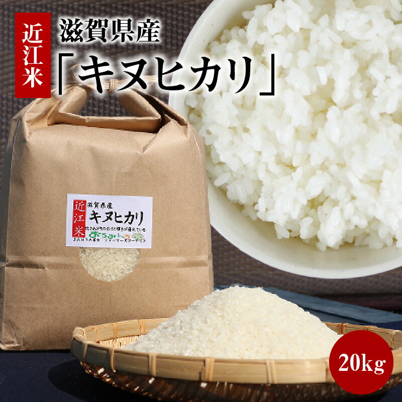 【ふるさと納税】令和8年度産 近江米「キヌヒカリ」 20kg