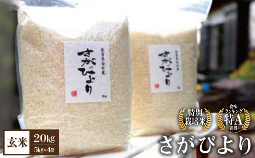 【先行予約 2026年10月～発送】【九州米・食味コンクール3年連続入賞！】 令和8年産 こだわりの さがびより 20kg（玄米）【白浜農産】お米 [IBL004]