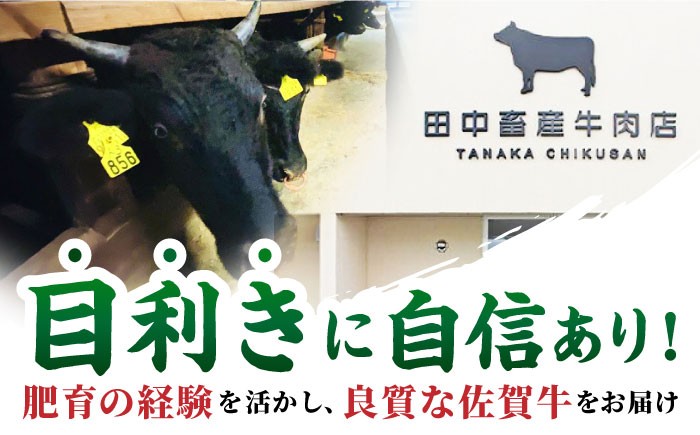 全6回定期便 佐賀牛 赤身スライス 500g 黒毛和牛 牛肉 定期便 赤身 しゃぶしゃぶ すき焼き 鍋 佐賀 定期 6回 6ヶ月
