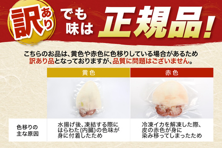 訳あり品でも味は正規品　島根県産剣先イカ一夜干し計５００ｇ（5～10枚） 【005_2078】