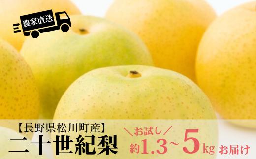 
                  【長野県松川町産】農家直送！果汁たっぷり二十世紀梨 約1.3kg～約5kg(9月中旬発送開始予定) // 長野県 南信州  減農薬栽培 和梨 なし ナシ 20世紀 ２０世紀 エコファーマー認証 農家支援 HF
                