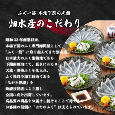 ふるさと納税 下関市 とらふぐ刺身小皿セット 5人前 冷凍 100g ID011 |  | 01