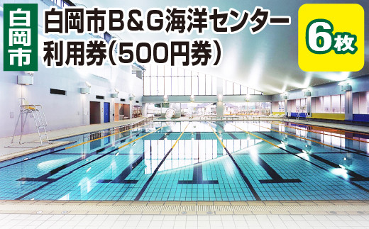 
                  白岡市B&G海洋センター利用券 500円券×6枚 3,000円分 屋内温水プール 25mプール 幼児用プール ジャグジー ウォータースライダー 一年中利用可 施設利用券 プールチケット スポーツ レジャー 埼玉県白岡市 有効期限は寄附日から1年間 株式会社ワコーインターナショナル
                