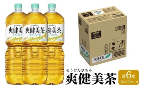 コカ・コーラ 爽健美茶 2L × 6本 1ケース 【 お茶 ドリンク ドリンクお茶 ペットボトル ペットボトルお茶 箱 和歌山県 海南市 】