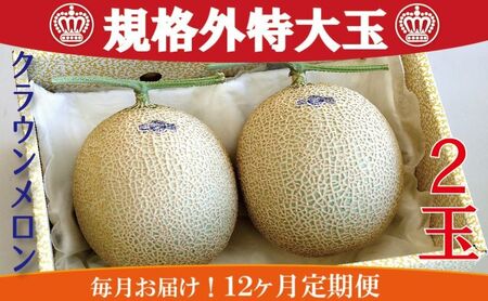 メロン 規格外特大玉 2玉入 毎月お届け12ヶ月定期便 メロン