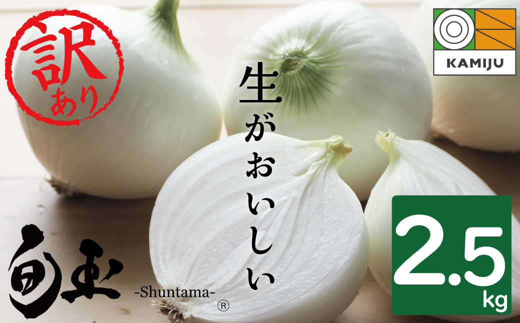 
            (2026年発送)【数量限定】訳あり 新玉ねぎ 生がおいしい 神重農産のブランド玉ねぎ「旬玉」2.5kg ブランド玉ねぎ 玉ねぎ 国産 愛知県産 野菜 やさい 農家直送 畑直送 旬 期間限定 たまねぎ 先行予約 旬 特産 高評価 高リピート 人気 H105-152
          