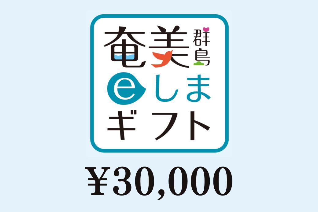 【JALの旅先納税】 電子商品券 奄美群島eしまギフト30,000円分