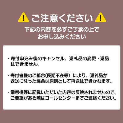 ふるさと納税 浜頓別町 【定期便3カ月】全粉乳 700g 6袋 よつ葉 業務用 ミルク パウダー |  | 03