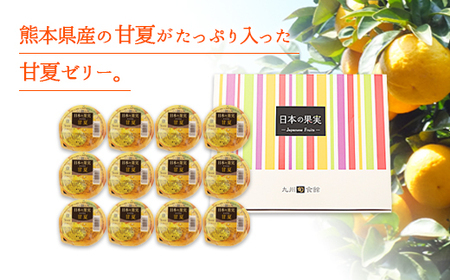 【お中元】甘夏ゼリー12個ギフトセット 007-002-N