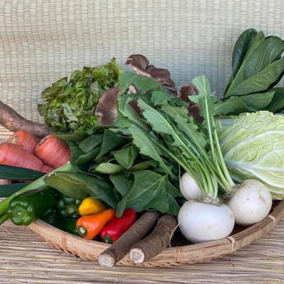 ふるさと納税 潮来市 『身体が喜ぶ野菜』詰め合わせ(おまかせ10〜12品) |  | 03