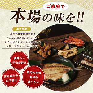 漁師が作った美味しい山川干物セット(指宿山川水産/010-1916) 鹿児島 干物 ひもの 魚介 魚 ブリ ぶり あじ アジ 鯵 鰹 カツオ かつお おかず おつまみ セット 詰め合わせ 冷凍