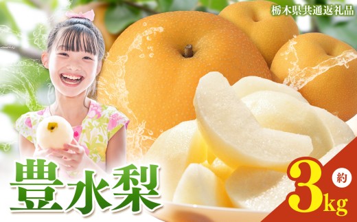 栃木県産 梨 豊水 3kg 【2026年先行予約】| ほうすい なし ナシ 完熟 果物 フルーツ プレゼント ご褒美 お取り寄せ 贈答 おいしい ジューシー 数量 限定 栃木県産 栃木県 真岡市 減農薬 送料無料