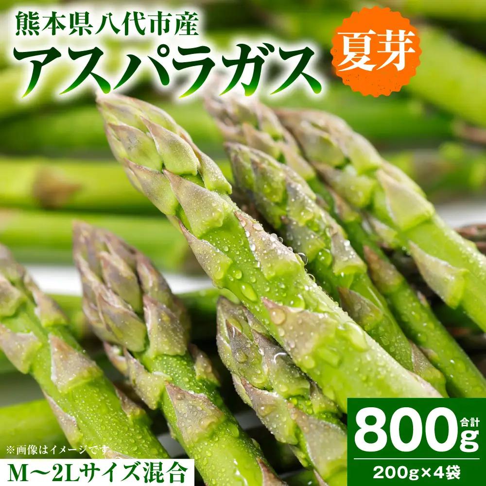 アスパラガス 800g （M～2Lサイズ混合） アスパラ 新鮮 夏野菜 野菜 やさい 旬 産地直送 野菜ソムリエサミット 銀賞 熊本県 八代市
