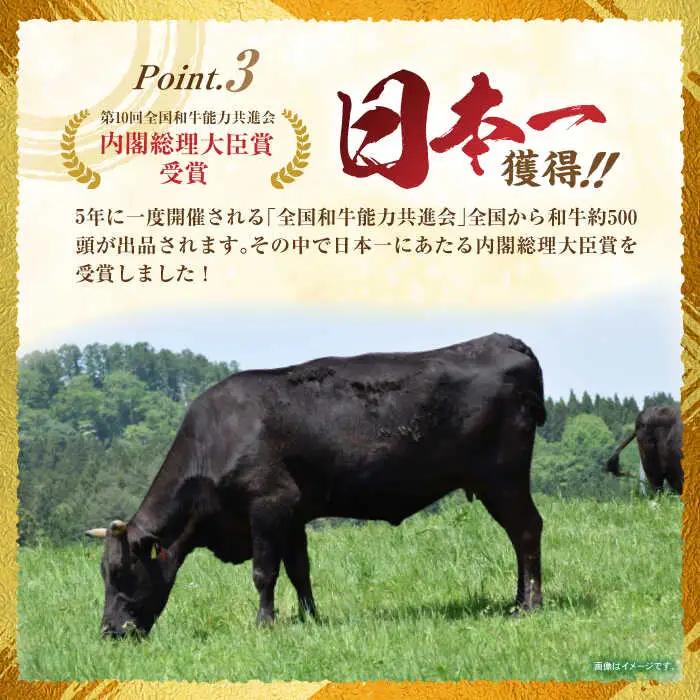 長崎和牛 肩ローススライス 300g / 長崎県産 長崎和牛 牛肉 和牛 牛 肩ロース / 諫早市 / 有限会社長崎フードサービス [AHDD002]