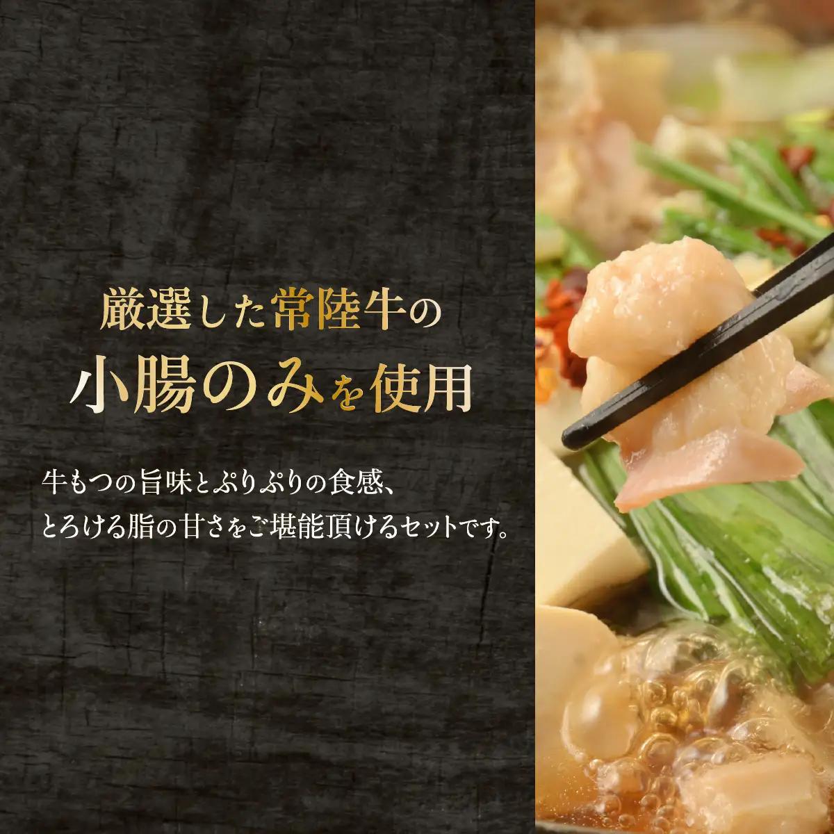 もつ鍋 セット 500g  塩 醤油 常陸牛 もつ鍋