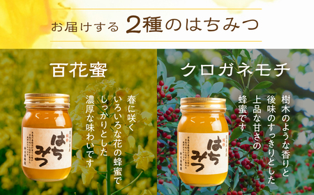 国産 純粋 無添加 完熟 はちみつ 蜂蜜 600g 2種セット 鈴木養蜂園