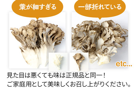 【訳あり】おいがみ舞茸園 生まいたけ詰め合わせ