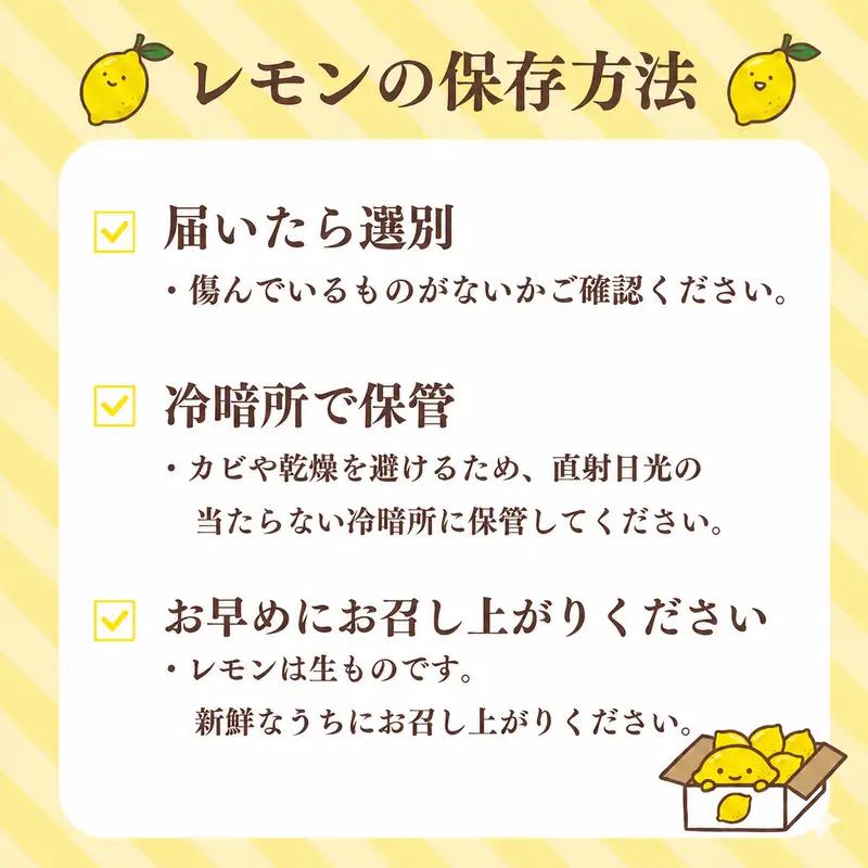  【期間限定 農林水産大臣賞】国産グリーンレモン  2kg 檸檬