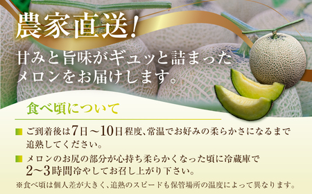 メロン・イチゴ定期便 全2回 果物 旬 めろん いちご 紅ほっぺ 季節の果物 人気 愛知県 田原市 定期便 フルーツ 定期便 フルーツ 定期便 フルーツ 定期便 フルーツ 定期便 フルーツ 定期便 フ