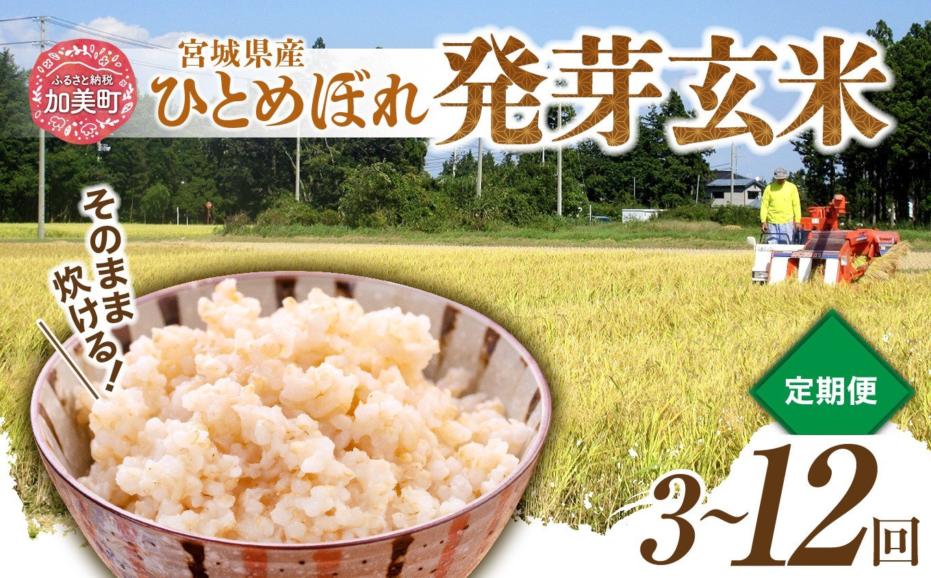 
            【定期便】 簡単に炊ける 宮城県産 ひとめぼれ 発芽玄米  [菅原商店 宮城県 加美町] 米 こめ コメ 玄米 発芽玄米 ご飯 |sg-hb01-hg|1031KH
          