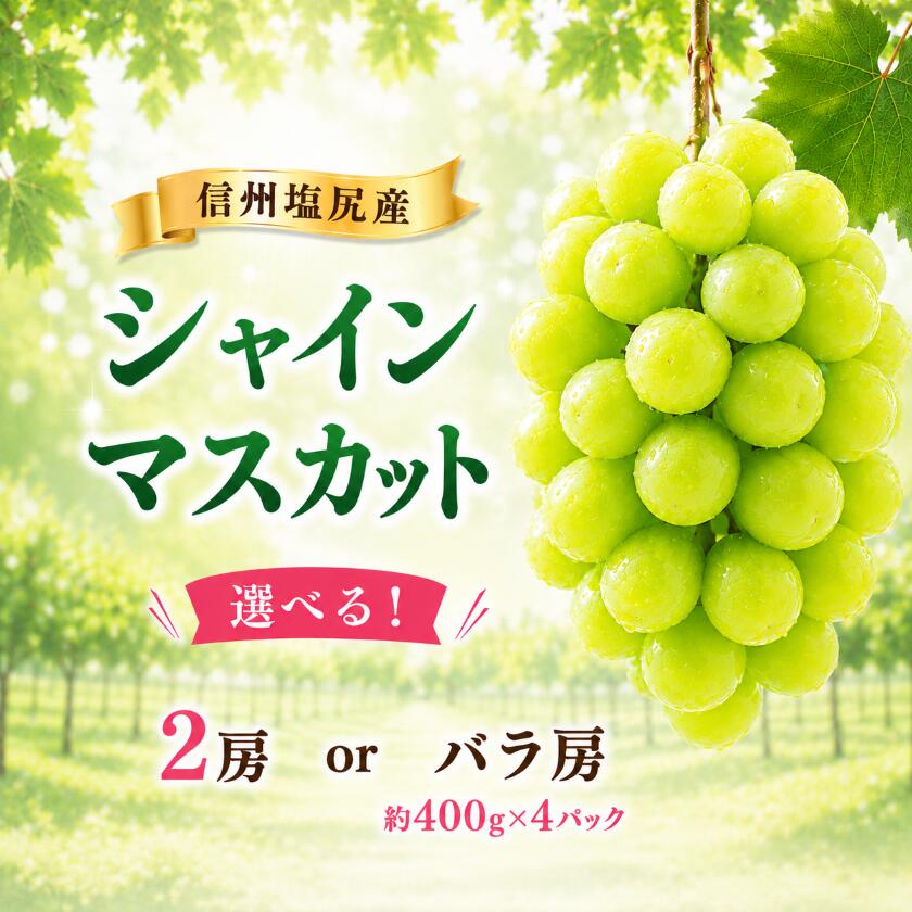 【ふるさと納税】【2026先行予約】信州塩尻産 シャインマスカット 選べる♪【2房 約1kg or 訳あり バラ房 約400g×4パック】（9月中旬頃から10月末にかけて順次発送） | 果物 フルーツ シャインマスカット ぶどう 葡萄 種なし 訳あり 長野県 塩尻市