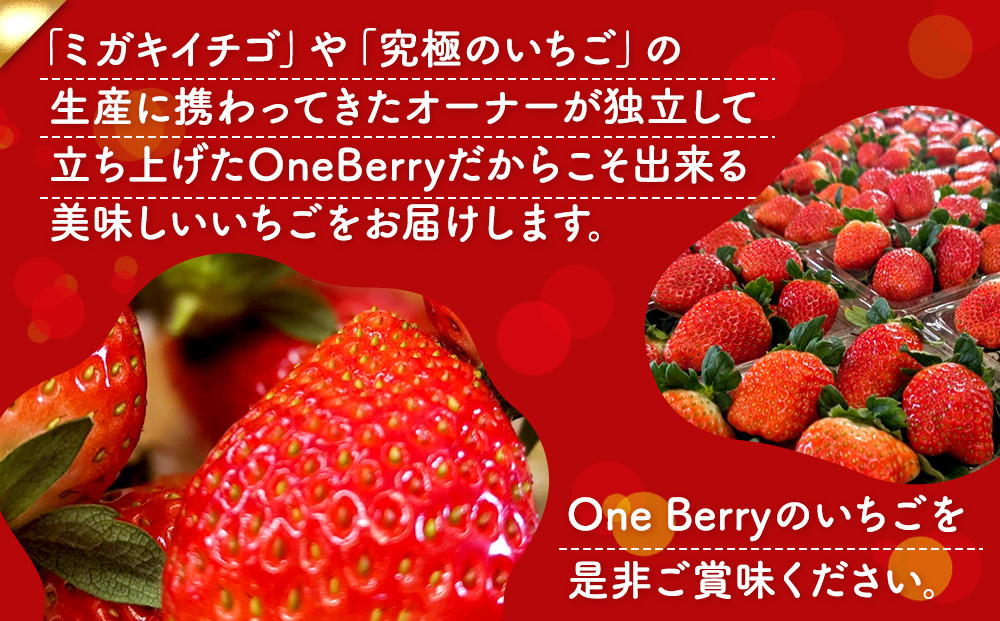 【ふるさと納税／先行予約】OneBerry いちご農園 品種おまかせ 旬のいちご 250ｇ× 2パック【2027年1月5日以降順次発送】 ｜ いちご イチゴ 苺 宮城県 限定 産地直送 産直 農家直送