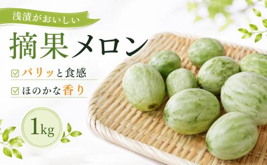 【 7月より順次発送 】 摘果メロン 1kg 20玉 前後 徳島県産 希少 漬物 メロン 家庭用 浅漬 ぬか漬け 酒 日本酒 フルーツ 果物 旬 季節 厳選 高級 人気 送料無料 レノンウェーブ タカミ 青肉メロン 徳島県 三好市 みよし 三好野呂内野菜生産加工組合