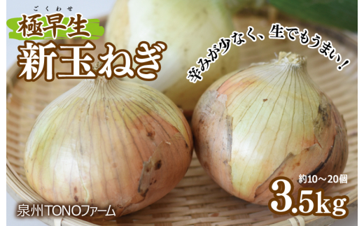 
先行予約 極早生 新たまねぎ 3.5kg 泉州TONOファーム
