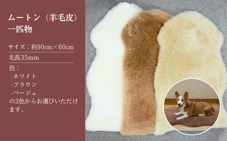 信州上田製ムートン（羊毛皮）一匹物　毛長35mm ベージュ