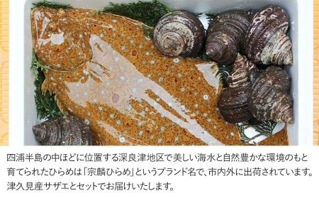 宗麟ひらめ・サザエの詰合せセット  ヒラメ 平目 鮃 刺身 刺し身 生魚 新鮮 大分県産 九州産 津久見市 国産【tsu002603】