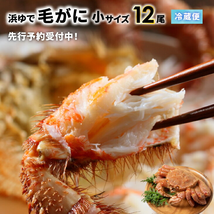 【ふるさと納税】【先行受付開始！】漁協の浜ゆで毛がに 小サイズ12尾セット※日付指定対応不可※[02-1415]離島・沖縄県発送不可※ 北海道 浦河 ふるさと納税 北海道産 北海道日高産 毛がに 浜ゆで 冷蔵発送 送料無料