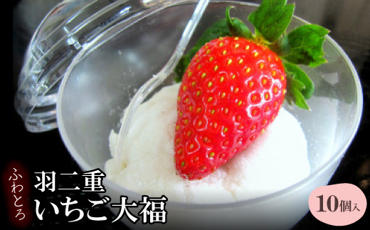 
                  ふわとろ羽二重(はぶたえ)いちご大福【1264822】
                