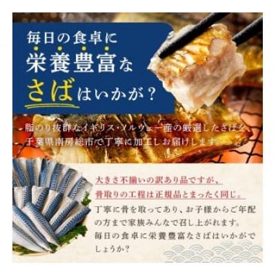 ふるさと納税 南房総市 【訳あり】骨取り無塩さば　切り身1kg(500g×2袋) mi0012-0161 |  | 01