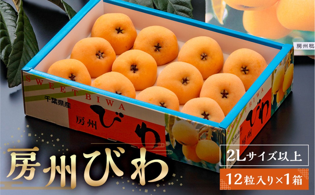 
            【先行受付 2025年5月下旬～6月中旬発送予定】房州びわ(露地)12粒入2Lサイズ以上1箱 mi0010-0010 【 びわ フルーツ 旬 季節 果物 瑞々しい お取り寄せ グルメ】
          