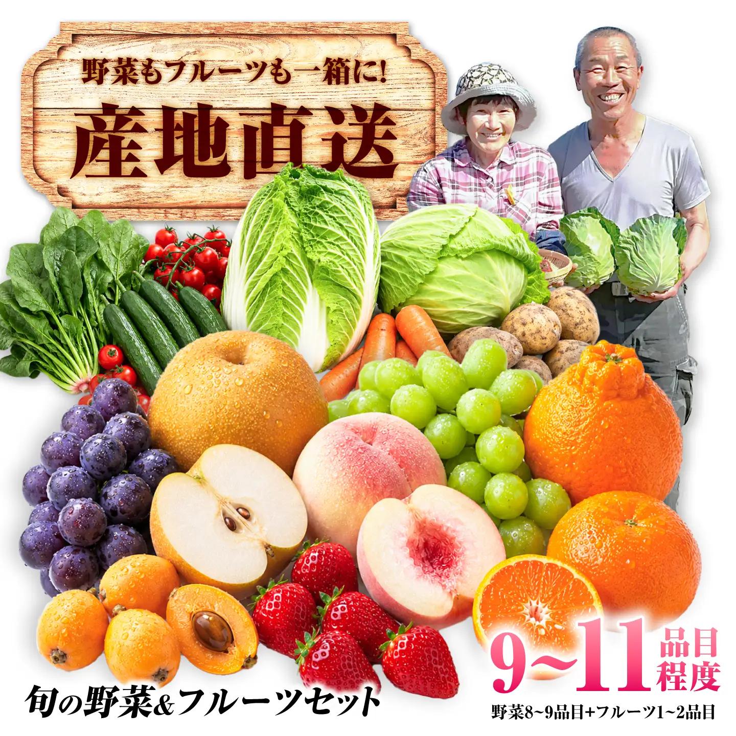 【産地直送】長崎県諫早産 旬の野菜＆フルーツ詰め合わせ 9～11品目程度 季節のおまかせセット / 野菜 フルーツ 果物 セット 詰め合わせ 旬野菜セット 旬のフルーツ 旬 食べ比べ 産地直送 健康 / 諫早市 / 肥前グローカル株式会社[AHDI013]