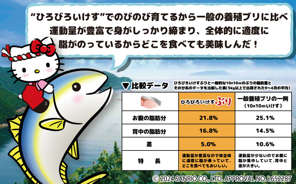 【先行予約】ひろびろいけすぶり(フィレ・片身)1枚 ※11月発送 ぶり 鰤 刺し身 刺身 鰤 大分県産 九州産 津久見市 国産【tsu001101】