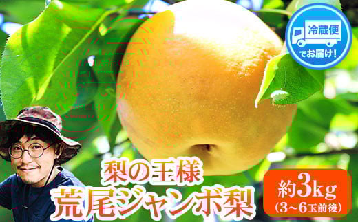 【2026年 先行予約】梨 新高 ジャンボ梨 ( 新高梨 )  約 3kg (3～6玉前後) なし 荒尾梨 にいたか フルーツ 果物 デザート 旬 熊本県荒尾市産 髙口果樹園《2026年10月上旬-11月末頃出荷》