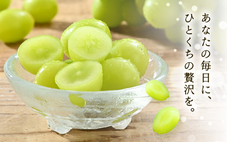 【先行予約】 シャインマスカット ひとくちシャイン 約500g 1房 【2026年8月中旬以降順次発送予定】マスカット ぶどう [A-21701]