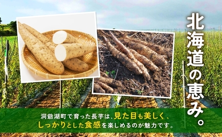 北海道産 青野農園 土つき 長いも 約5kg 5～7本 2026年11月下旬～1月中旬ごろお届け 先行予約 ながいも 土付き 北海道 長芋 自然薯 とろろ いも イモ 旬 野菜 農作物 産地直送 お取