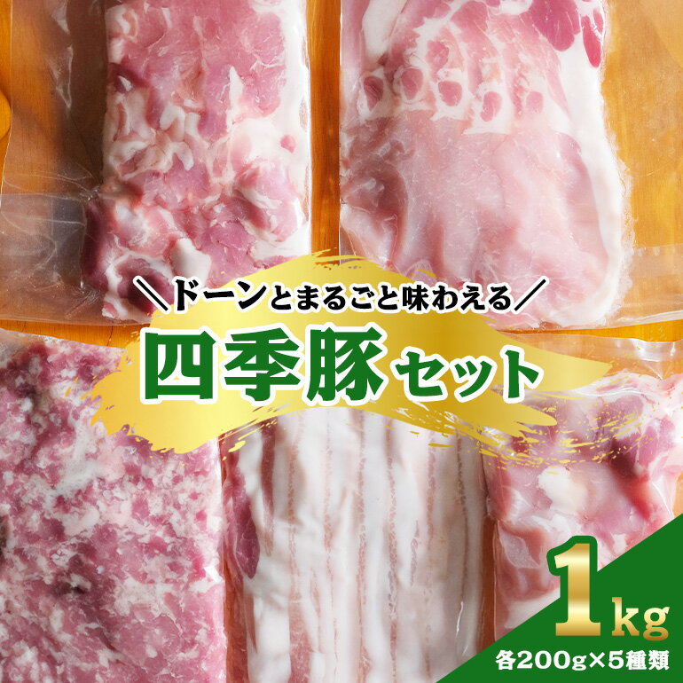 【ふるさと納税】四季豚 ドーンとまるごと味わえる1kgセット ローススライス カタスライス バラ ひき肉 煮込み用角切り肉 各200g