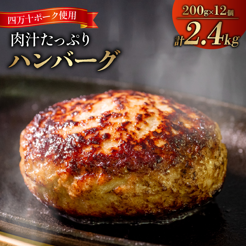 四万十ポーク入りハンバーグ 2.4kg (200g×12個)
