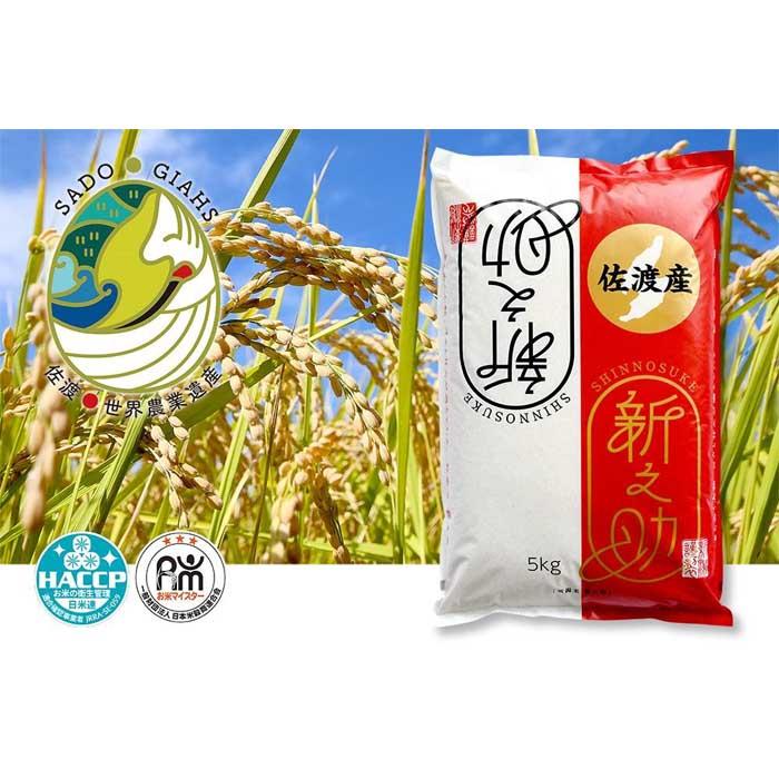 新潟県佐渡市産 新之助 精米 5kg【令和7年米】