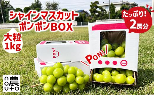 シャインマスカット 山梨 「ポンポンBox 大粒2房分」 種なし ぶどう ギフト 贈答 敬老の日 山梨県 山梨産 笛吹市 フルーツ シャイン マスカット 社員マスカット キッズ おもちゃ 楽天 人気 ランキング コスパ 数量限定 154-050