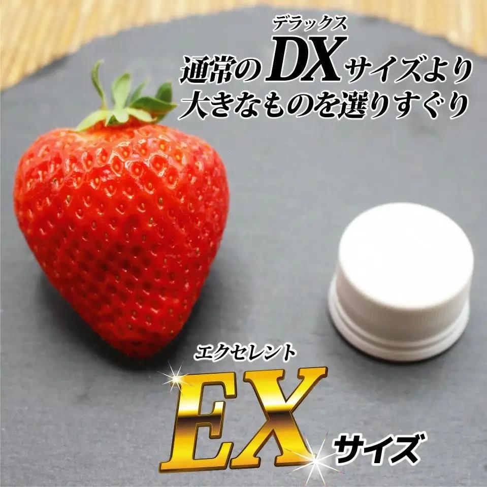 【先行予約】1月より順次発送！「博多あまおう」EX　贈答用化粧箱　約450g 2箱【ほたるの里】_HA0753
