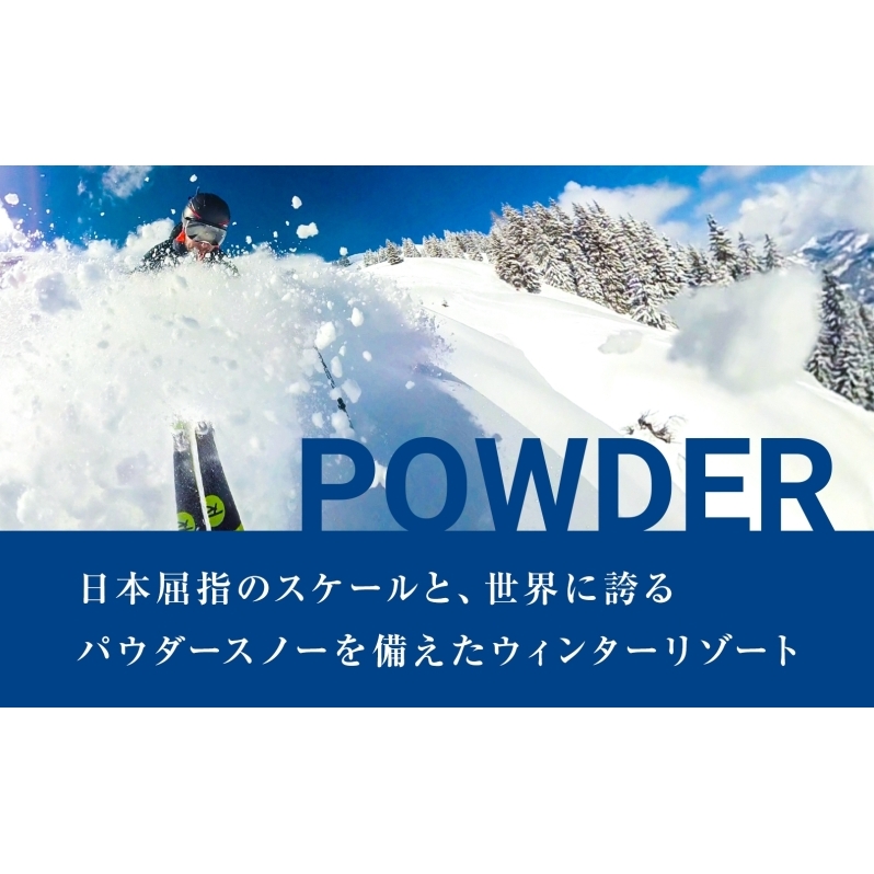 【北海道ツアー】ニセコステイ シャレーアイビーヒラフ ペア宿泊×高級懐石ディナー×スキーリフト券（300,000円分）【3泊4日×2名分】【12月15日-3月31日】旅行券 宿泊券 旅行チケット お食