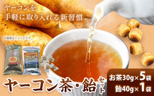 《事業者取り消し》ヤーコン茶・飴セット① ヤーコン茶5袋 ヤーコン飴1袋 株式会社サンヤーコン徳島《90日以内に出荷予定(土日祝除く)》徳島県 美馬市 送料無料 st-p