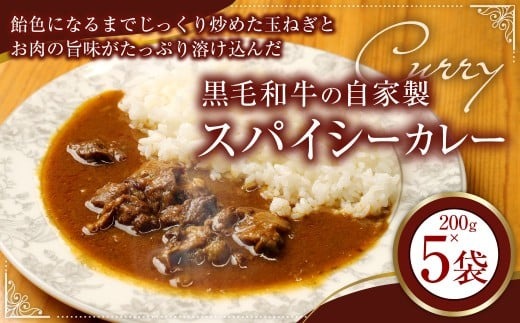 黒毛和牛の自家製スパイシーカレー（200g×5） 計1kg カレー カレーライス 牛スジ 牛肉 肉 ステーキ 冷凍 福岡県 香春町