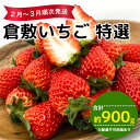 【ふるさと納税】【早期受付】倉敷 特選いちご 数量限定 紅ほっぺ かおり野 おまかせ 詰め合わせ 合計約900g 岡山県産　倉敷市　お届け：2024年12月上旬～2025年3月下旬